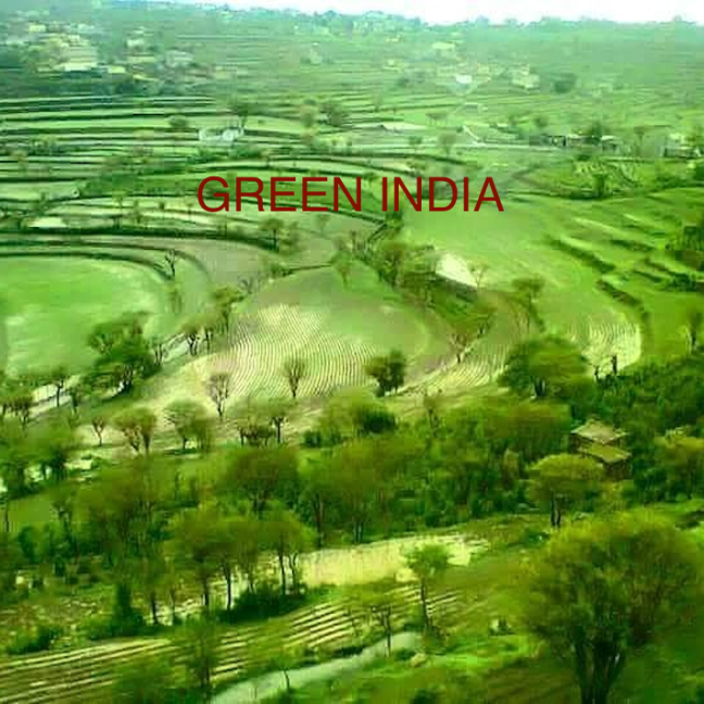 GREEN INDIA